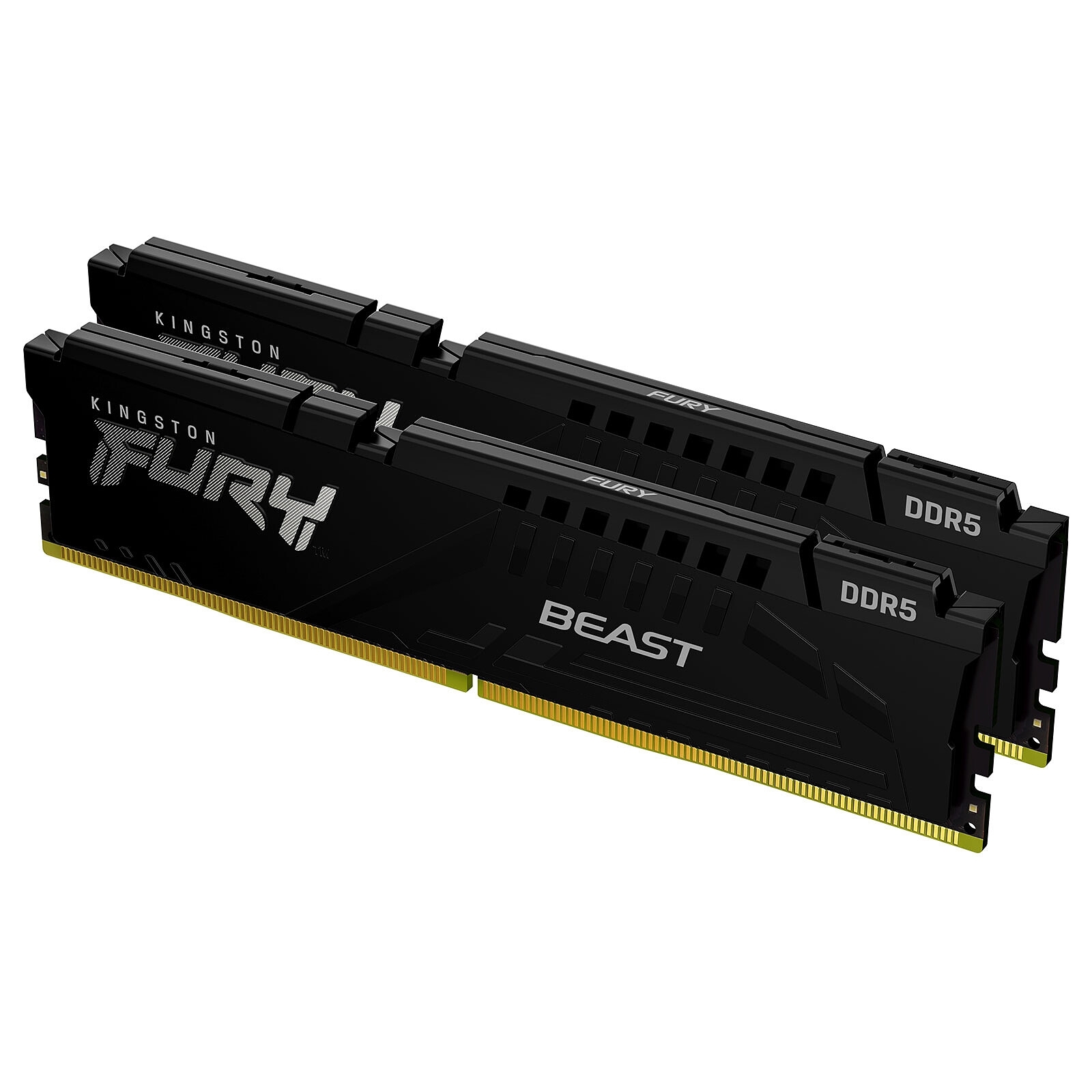 Kingston Technology FURY Beast 32 Go ( 2 x 16 Go ) DDR5 PC-6000 CL36 EXPO (KF560C36BBE2K2-32).