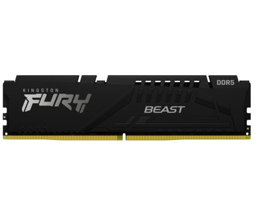 Kingston Technology FURY Beast 16 Go DDR5 PC-5600 CL36 Black (KF556C36BBE-16).