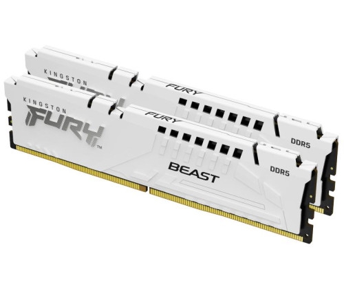 Kingston Technology FURY Beast 32 Go ( 2 x 16 Go ) DDR5 PC-6000 CL30 (KF560C30BWEK2-32).