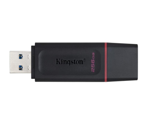 Aucune photo du produit KINGSTON DataTraveler Exodia 256G USB 3.2 Gen 1