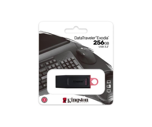 Aucune photo du produit KINGSTON DataTraveler Exodia 256G USB 3.2 Gen 1